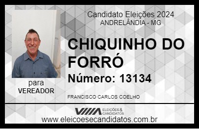 Candidato CHIQUINHO DO FORRÓ 2024 - ANDRELÂNDIA - Eleições