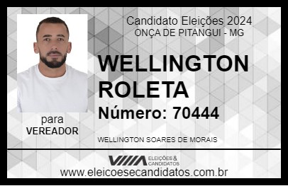 Candidato WELLINGTON ROLETA 2024 - ONÇA DE PITANGUI - Eleições