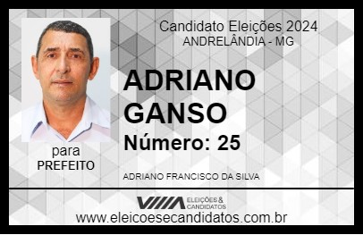 Candidato ADRIANO GANSO 2024 - ANDRELÂNDIA - Eleições