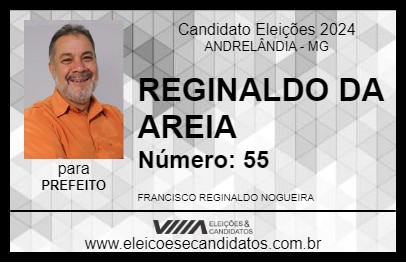 Candidato REGINALDO DA AREIA 2024 - ANDRELÂNDIA - Eleições