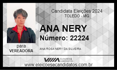 Candidato ANA NERY 2024 - TOLEDO - Eleições