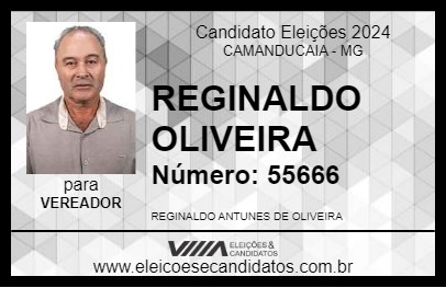 Candidato REGINALDO OLIVEIRA 2024 - CAMANDUCAIA - Eleições