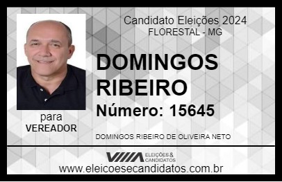 Candidato DOMINGOS RIBEIRO 2024 - FLORESTAL - Eleições