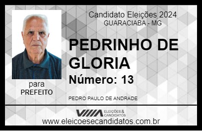 Candidato PEDRINHO DE GLORIA 2024 - GUARACIABA - Eleições