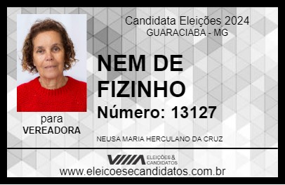 Candidato NEM DE FIZINHO 2024 - GUARACIABA - Eleições