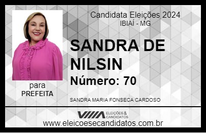 Candidato SANDRA DE NILSIN  2024 - IBIAÍ - Eleições