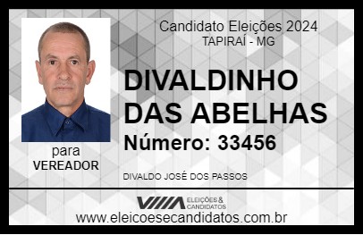 Candidato DIVALDINHO DAS ABELHAS 2024 - TAPIRAÍ - Eleições