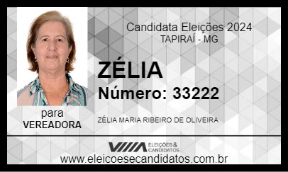 Candidato ZÉLIA 2024 - TAPIRAÍ - Eleições