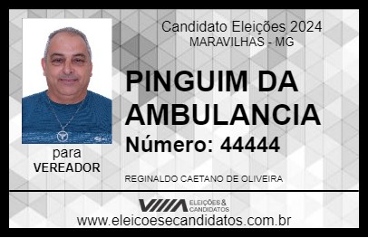 Candidato PINGUIM DA AMBULANCIA 2024 - MARAVILHAS - Eleições