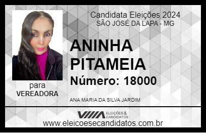 Candidato ANINHA PITAMEIA 2024 - SÃO JOSÉ DA LAPA - Eleições