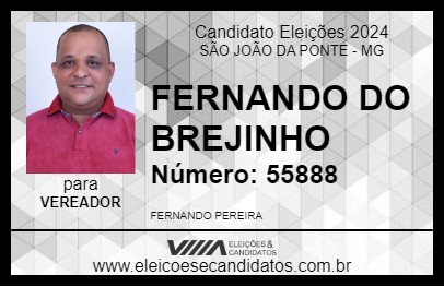 Candidato FERNANDO DO BREJINHO 2024 - SÃO JOÃO DA PONTE - Eleições