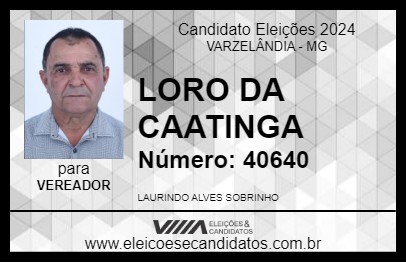 Candidato LORO DA CAATINGA 2024 - VARZELÂNDIA - Eleições