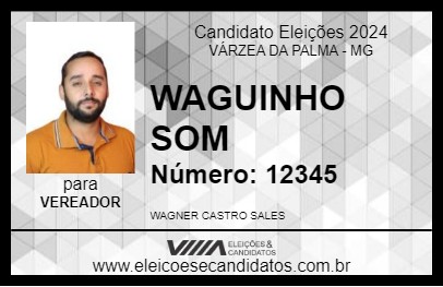 Candidato WAGUINHO SOM 2024 - VÁRZEA DA PALMA - Eleições