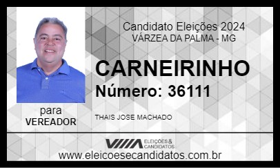 Candidato CARNEIRINHO 2024 - VÁRZEA DA PALMA - Eleições