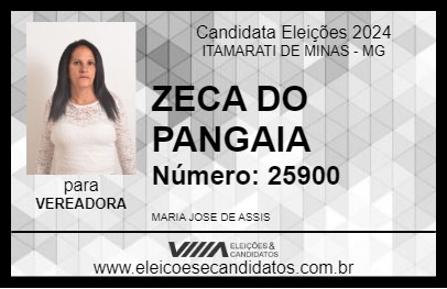 Candidato ZECA DO PANGAIA 2024 - ITAMARATI DE MINAS - Eleições