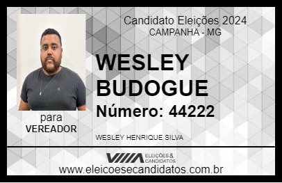 Candidato WESLEY BUDOGUE 2024 - CAMPANHA - Eleições