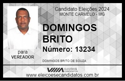 Candidato DOMINGOS BRITO 2024 - MONTE CARMELO - Eleições