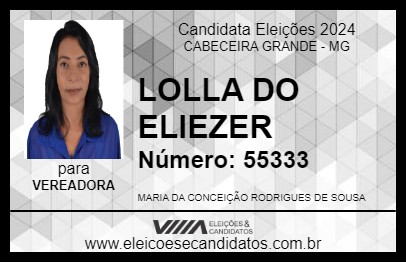 Candidato LOLLA DO ELIEZER 2024 - CABECEIRA GRANDE - Eleições