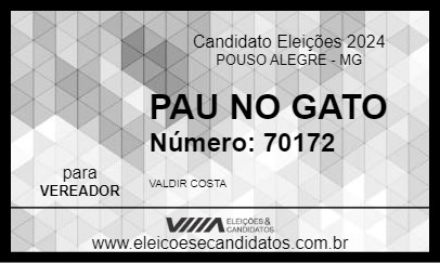 Candidato PAU NO GATO 2024 - POUSO ALEGRE - Eleições