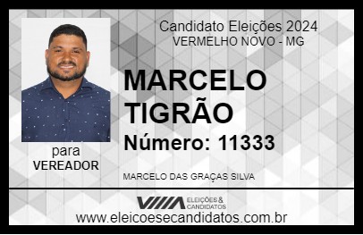 Candidato MARCELO TIGRÃO 2024 - VERMELHO NOVO - Eleições