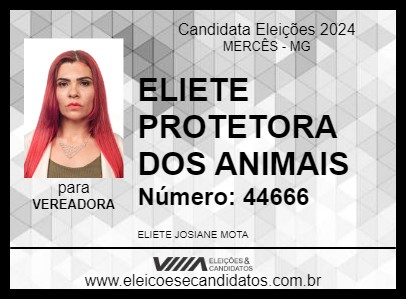 Candidato ELIETE PROTETORA DOS ANIMAIS 2024 - MERCÊS - Eleições