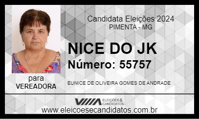 Candidato NICE DO JK 2024 - PIMENTA - Eleições