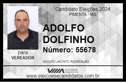 Candidato ADOLFO DOLFINHO 2024 - PIMENTA - Eleições