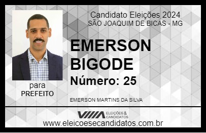 Candidato EMERSON BIGODE 2024 - SÃO JOAQUIM DE BICAS - Eleições