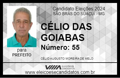 Candidato CÉLIO DAS GOIABAS 2024 - SÃO BRÁS DO SUAÇUÍ - Eleições