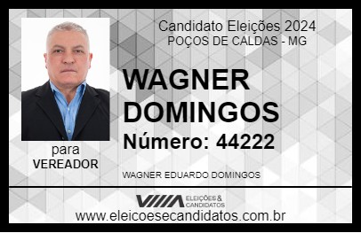 Candidato WAGNER DOMINGOS 2024 - POÇOS DE CALDAS - Eleições