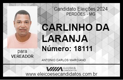 Candidato CARLINHO DA LARANJA 2024 - PERDÕES - Eleições