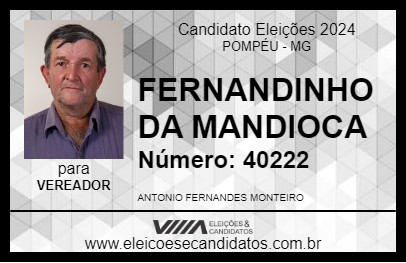 Candidato FERNANDINHO DA MANDIOCA 2024 - POMPÉU - Eleições