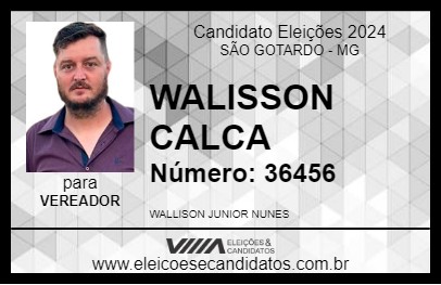 Candidato WALISSON CALCA 2024 - SÃO GOTARDO - Eleições