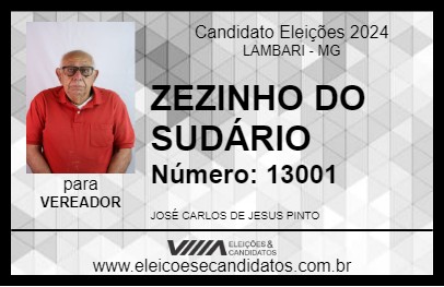 Candidato ZEZINHO DO SUDÁRIO 2024 - LAMBARI - Eleições