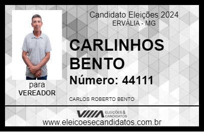 Candidato CARLINHOS BENTO 2024 - ERVÁLIA - Eleições