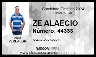 Candidato ZE ALAECIO 2024 - ERVÁLIA - Eleições