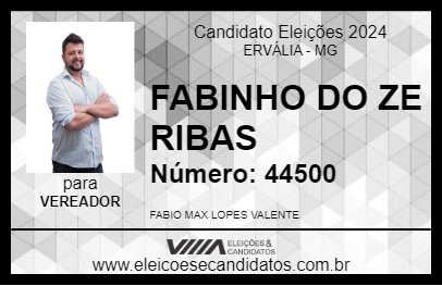 Candidato FABINHO DO ZE RIBAS 2024 - ERVÁLIA - Eleições