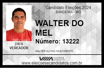 Candidato WALTER DO MEL 2024 - BANDEIRA - Eleições