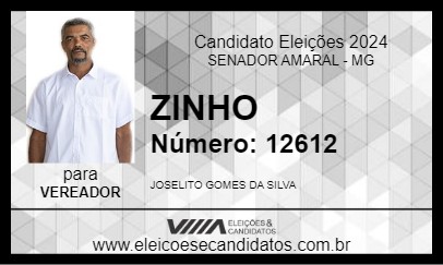 Candidato ZINHO 2024 - SENADOR AMARAL - Eleições