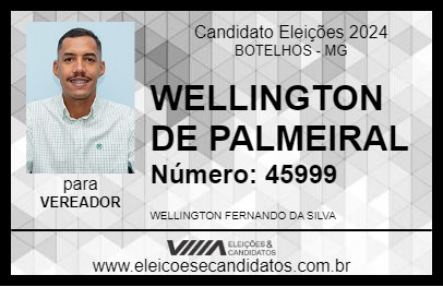 Candidato WELLINGTON DE PALMEIRAL 2024 - BOTELHOS - Eleições