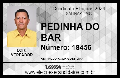 Candidato PEDINHA DO BAR 2024 - SALINAS - Eleições