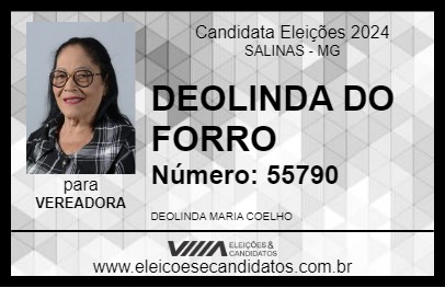 Candidato DEOLINDA DO FORRO 2024 - SALINAS - Eleições