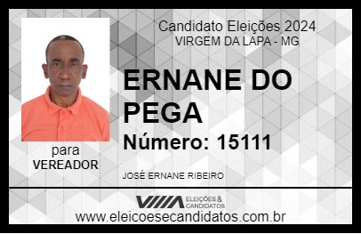 Candidato ERNANE DO PEGA 2024 - VIRGEM DA LAPA - Eleições