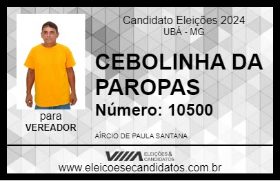 Candidato CEBOLINHA DA PAROPAS 2024 - UBÁ - Eleições