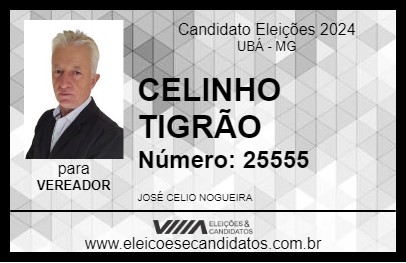 Candidato CELINHO TIGRÃO 2024 - UBÁ - Eleições