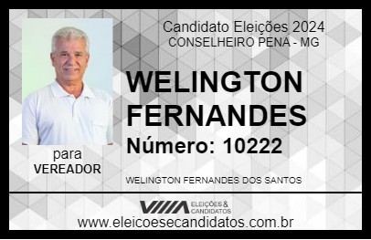 Candidato WELINGTON FERNANDES 2024 - CONSELHEIRO PENA - Eleições