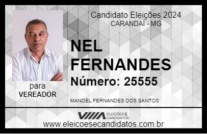 Candidato NEL FERNANDES 2024 - CARANDAÍ - Eleições