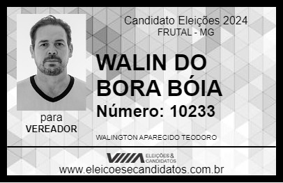 Candidato WALIN DO BORA BÓIA 2024 - FRUTAL - Eleições