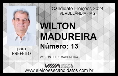 Candidato WILTON MADUREIRA 2024 - VERDELÂNDIA - Eleições