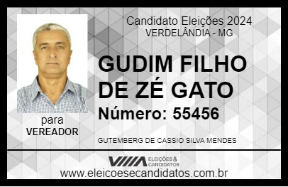 Candidato GUDIM FILHO DE ZÉ GATO 2024 - VERDELÂNDIA - Eleições